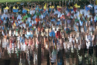 Crowd reflected in a lake