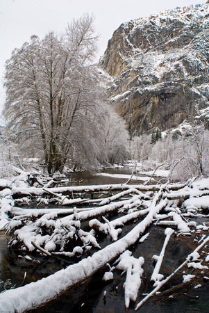 Snowy logs on the Merced River