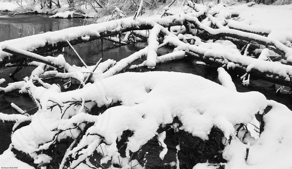 Snowy logs on the Merced River