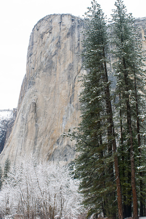 Yosemite January 2008 116