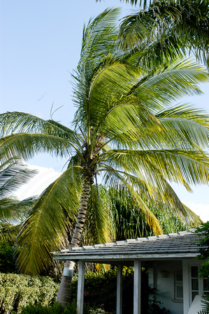 Barbados