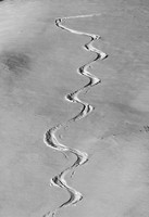 Ski tracks - Le Tour