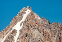Close-up of Aiguille Chrdonnay in summer