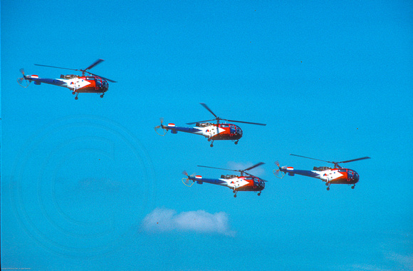 Aerospatiale SA-316B Alouette III, Grasshoppers