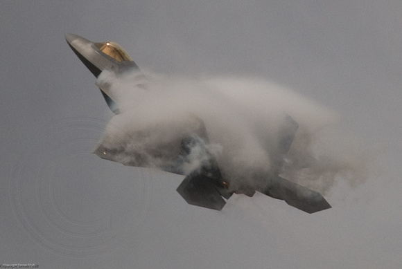 F-22 Raptor of the US Air Force