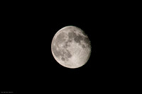 Summer moon